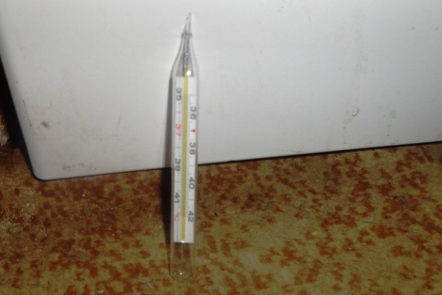 DSC05177
