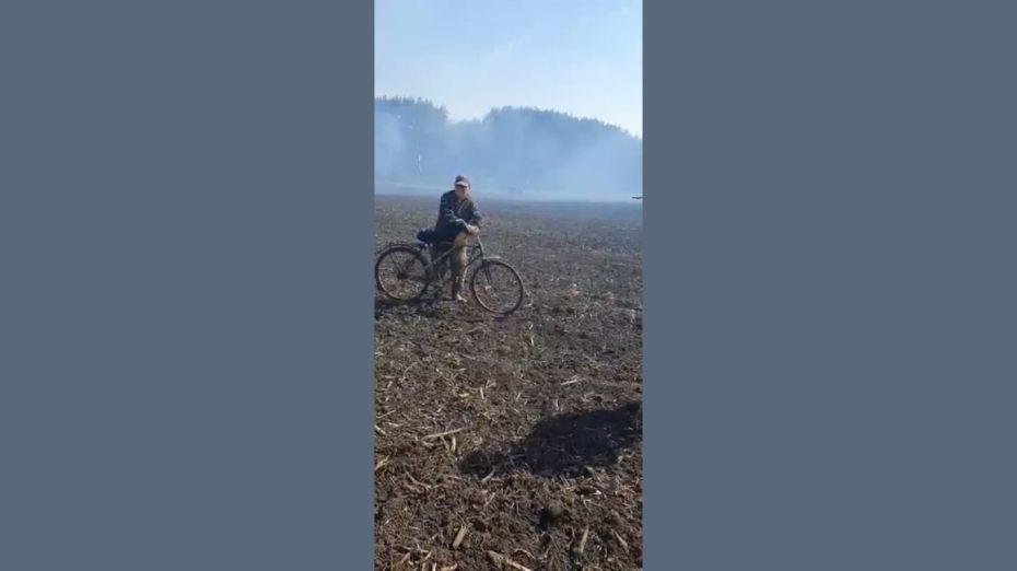 Лупашко