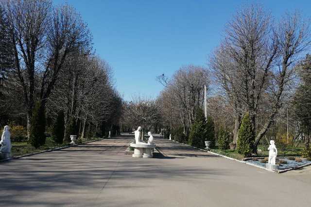 2020-04-10-park2