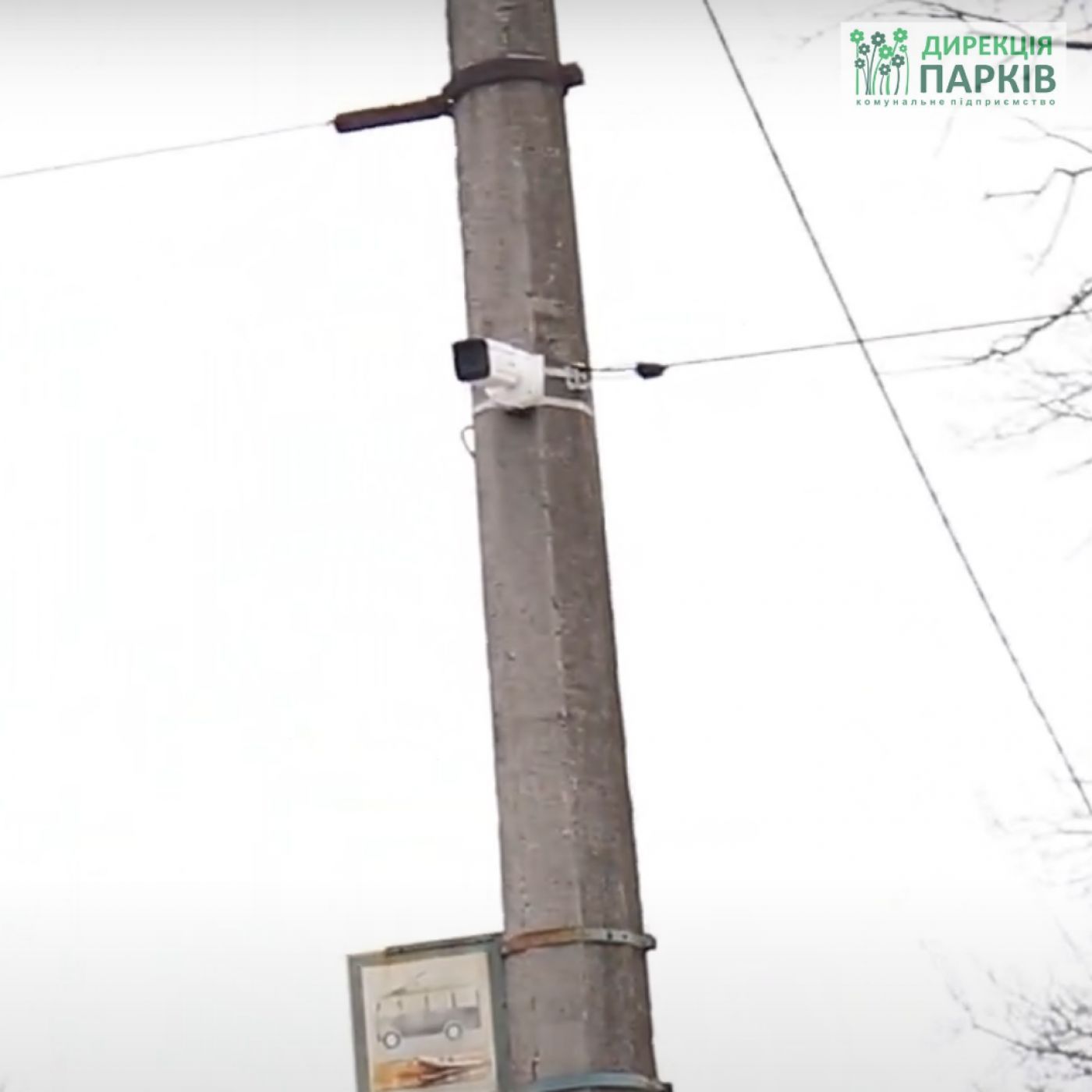 161424910_3668978329815959_2670464803644040015_o