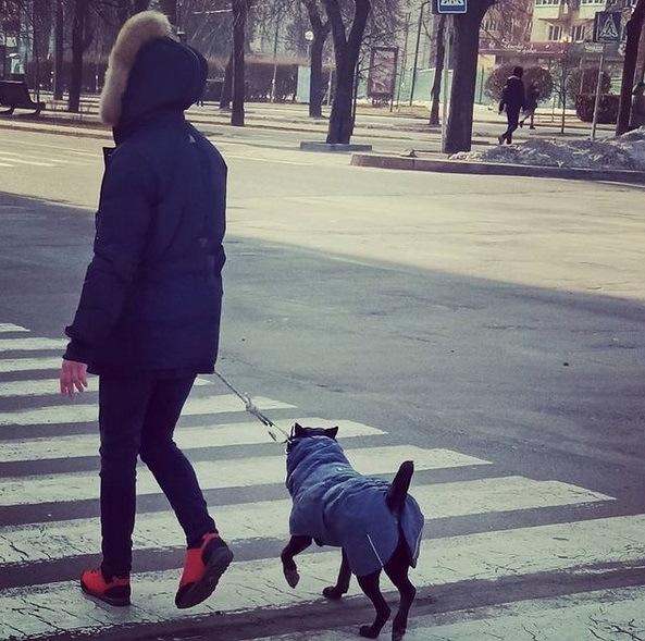 106987095_4829479400411533_7708784411855920903_o