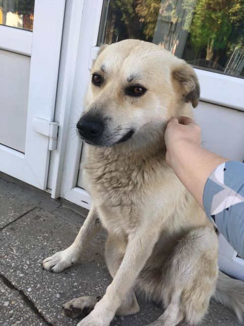 163634532_3281043888661976_1122410801886082422_o