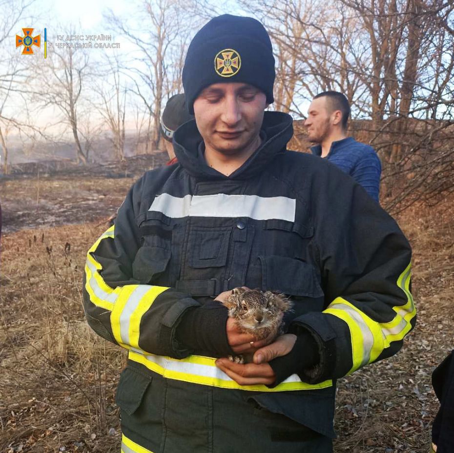 277007529_336824858482228_948839356691767307_n