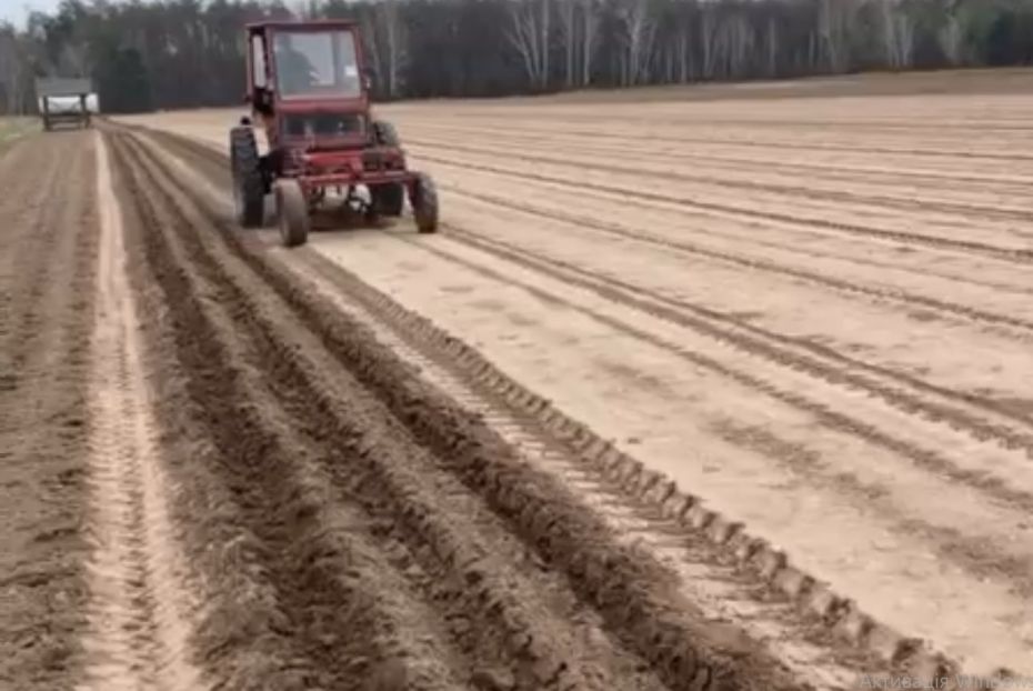 278107414_347387457419787_1248058933772148437_n