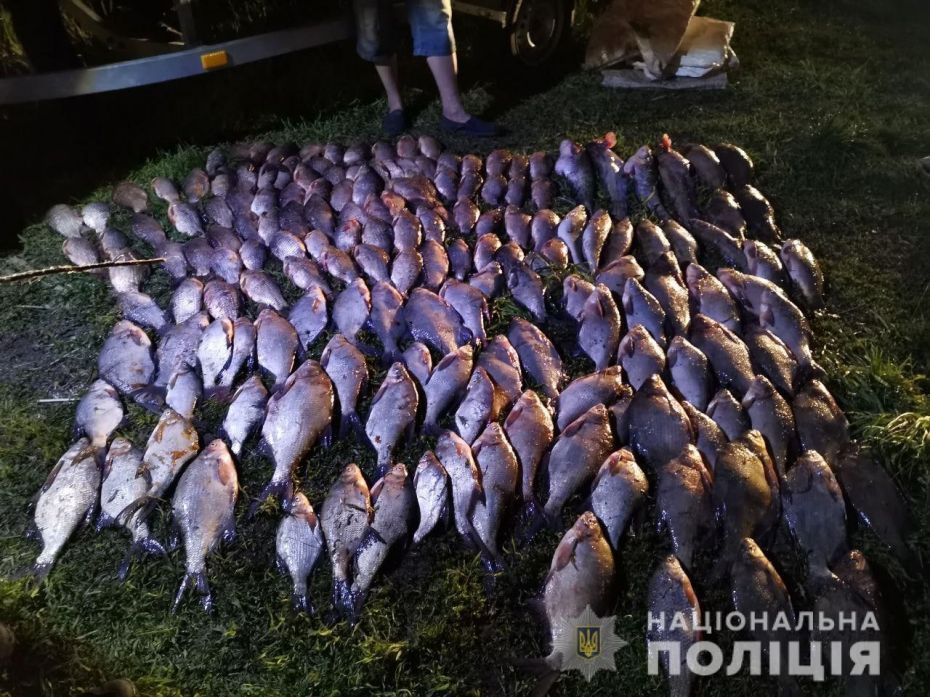 photo_2022-04-29_15-23-57