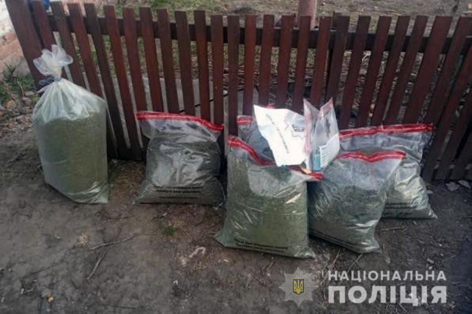 photo_2022-03-30_11-08-00