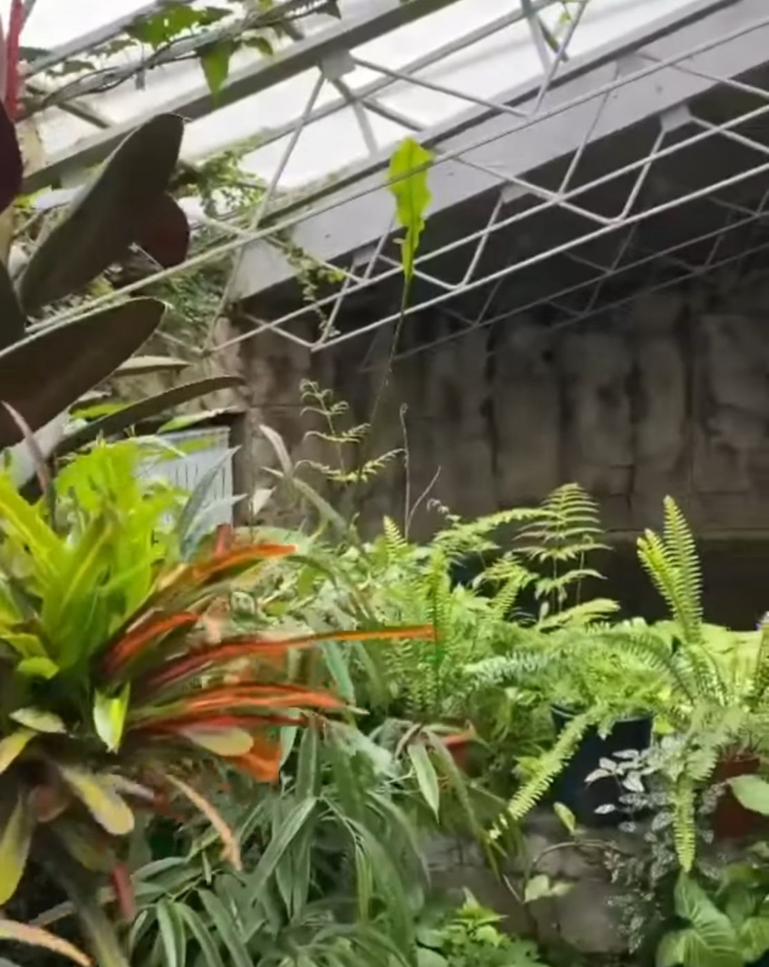 Screenshot_20220430-162500_Facebook