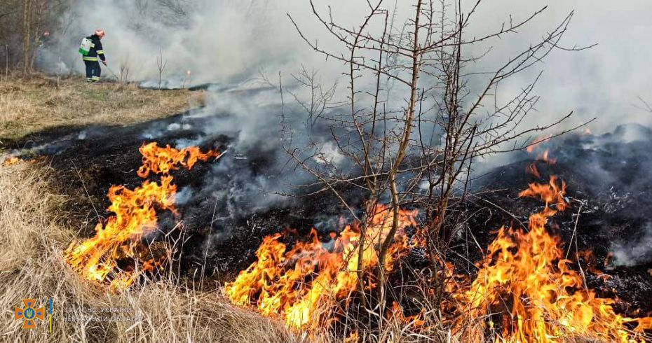 278123746_350460733785307_4525266934437145392_n