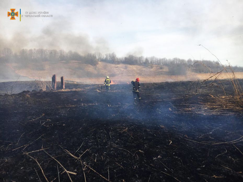 277155375_341852771312770_7290721302448040866_n