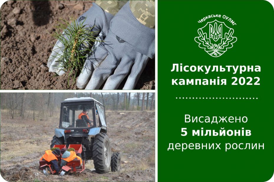 Лісокультурна-2022
