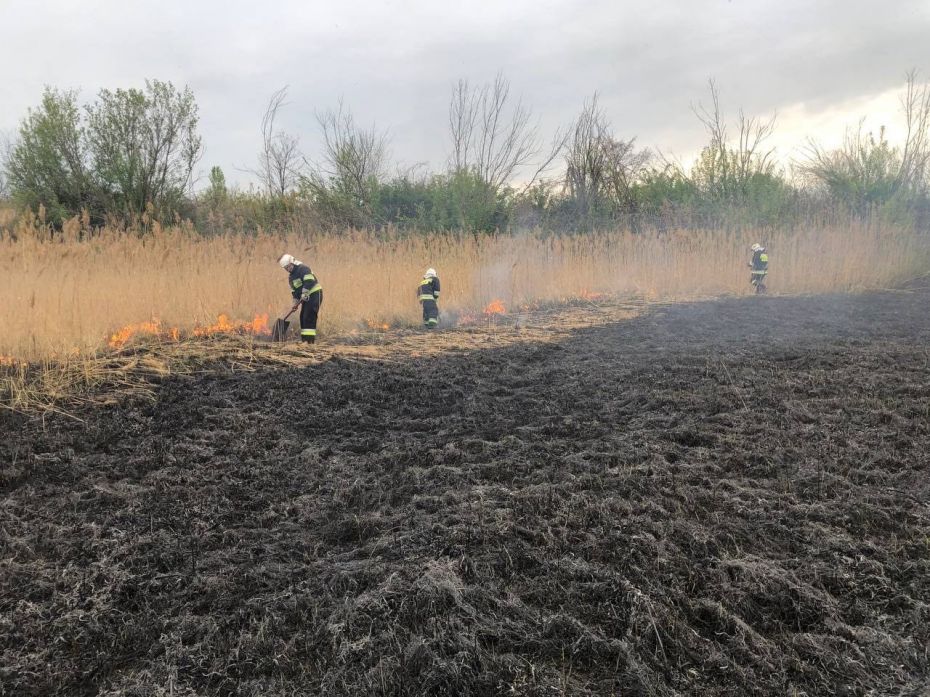 279254585_363017132529667_8693198251203067055_n