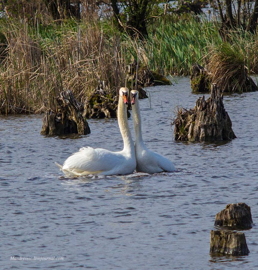 18033330_767500356752318_5127312597816503964_n