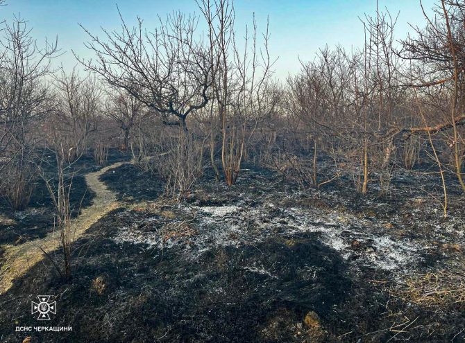 654327066_1369404705224233_3247966884345018009_n