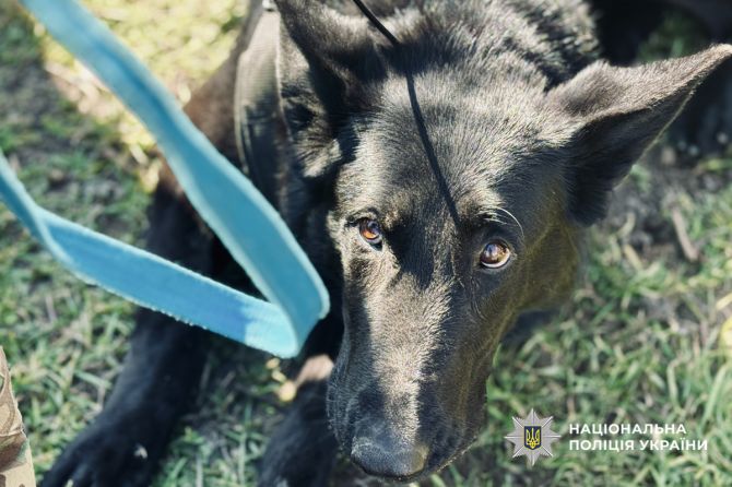 659064921_1419561596881791_5273081899439331386_n