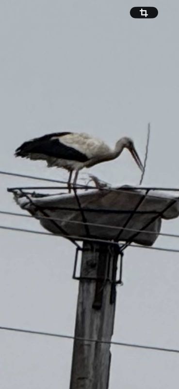 660824123_1503728161185857_2716738709090749064_n