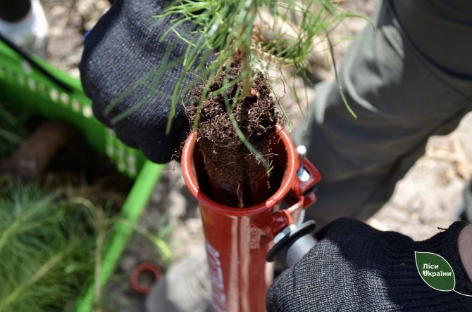 649190972_933524462977177_5249367420015020338_n