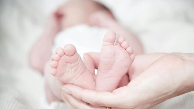 645703936_1219504570336656_6795459544713680535_n