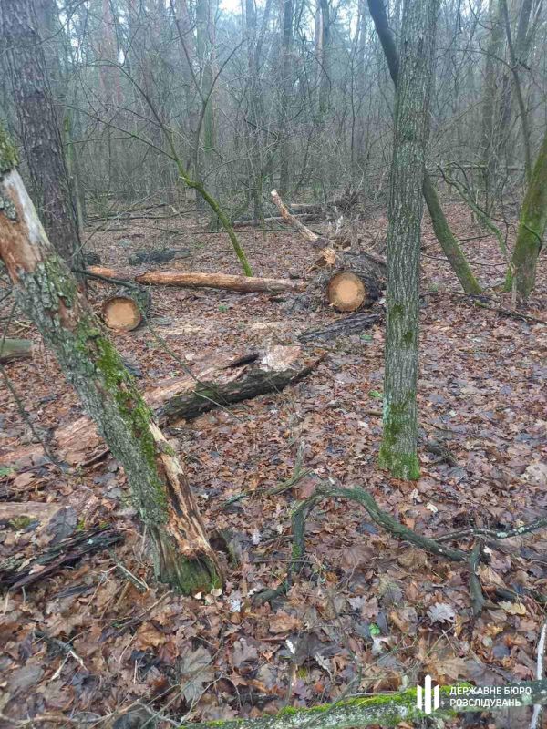 nezakonni-rubki-u-nacparku-na-cherkashhini-dbr-povidomilo-pro-pidozru-trom-inspektoram-1