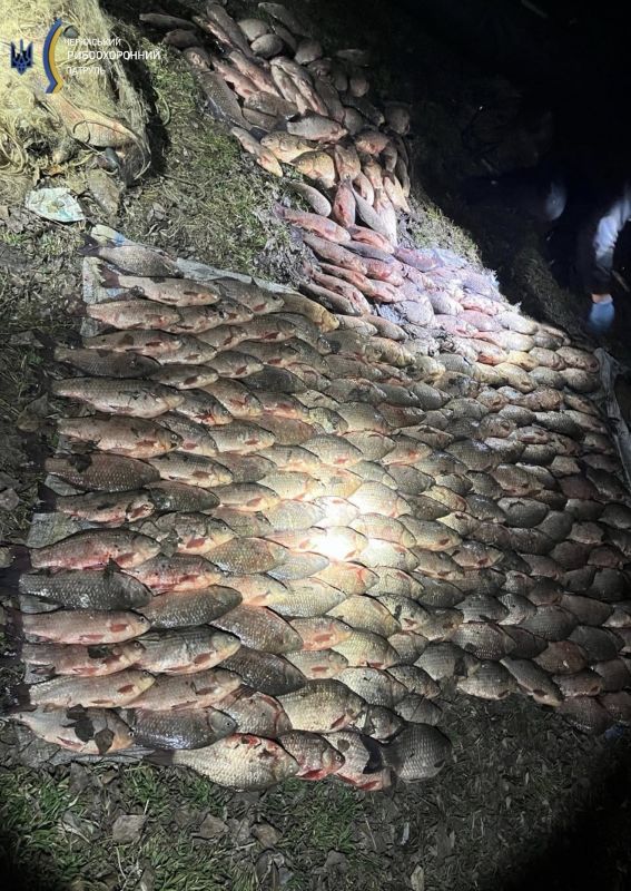 656915082_122160494834807410_9060612596417253760_n