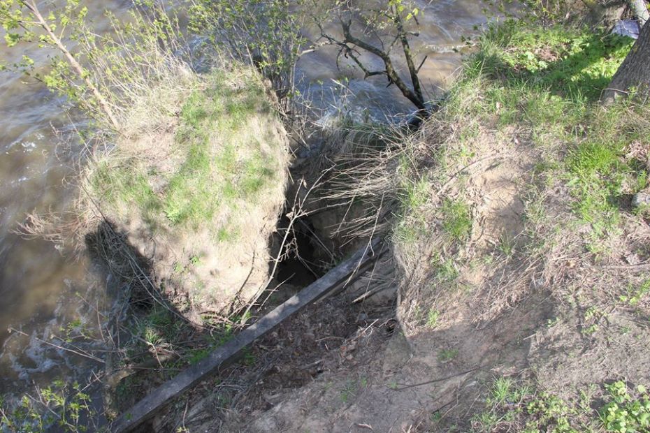 18056841_175908959598010_6587371990083820978_n