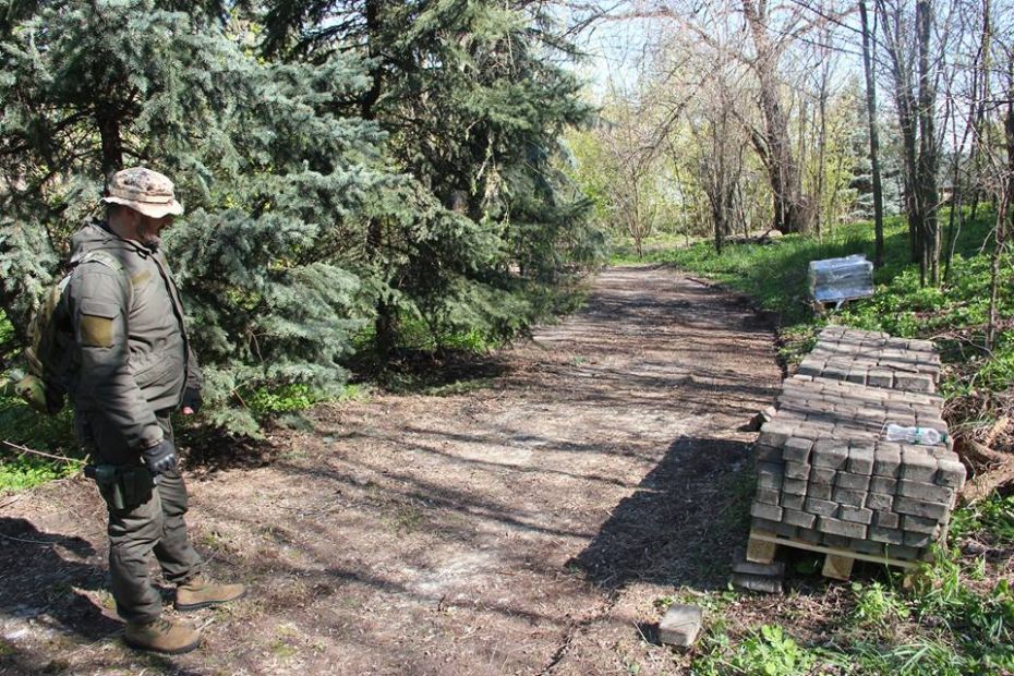 18034239_175908289598077_9156543227630191512_n