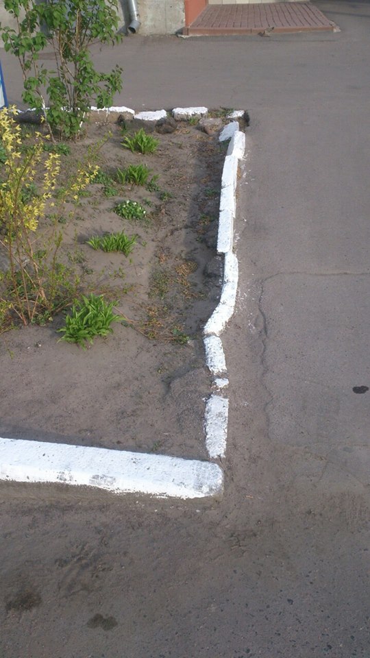 18157556_1394131453981704_1650666935628343977_n