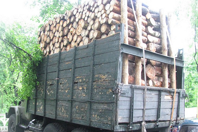 PM375image004