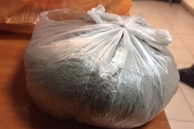 Конопля