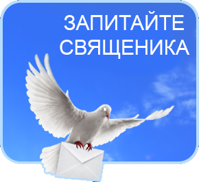 zapit