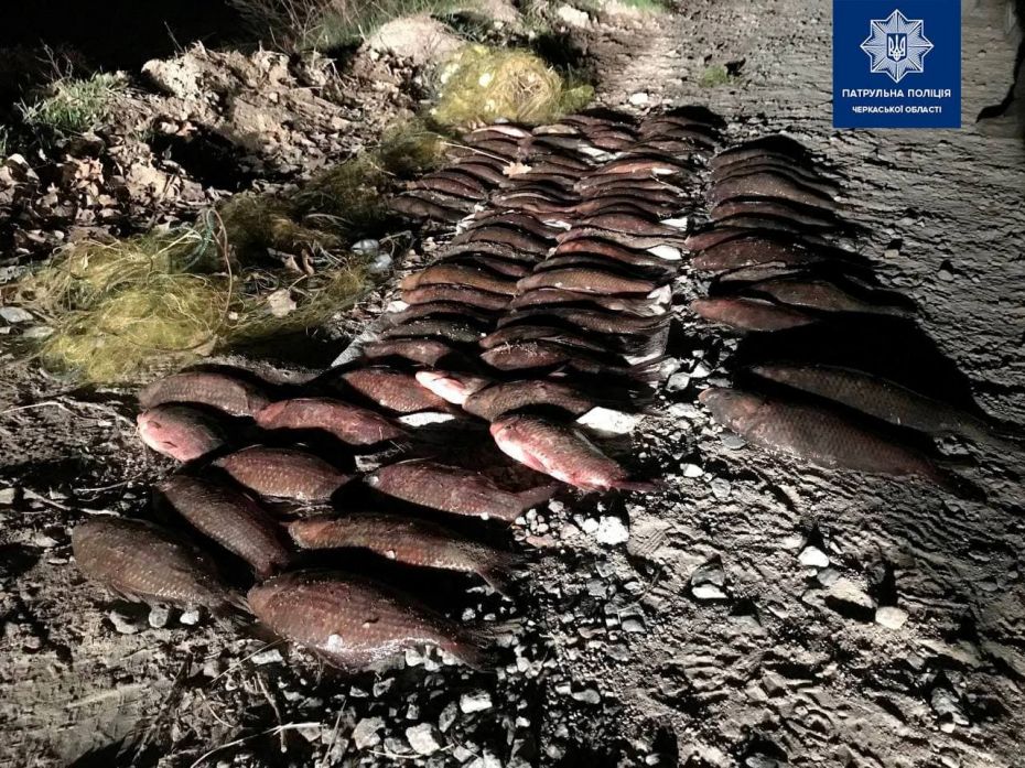 photo_2021-04-16_11-38-44