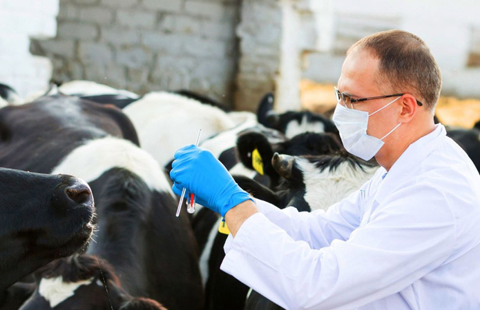 000909agro698687744400562