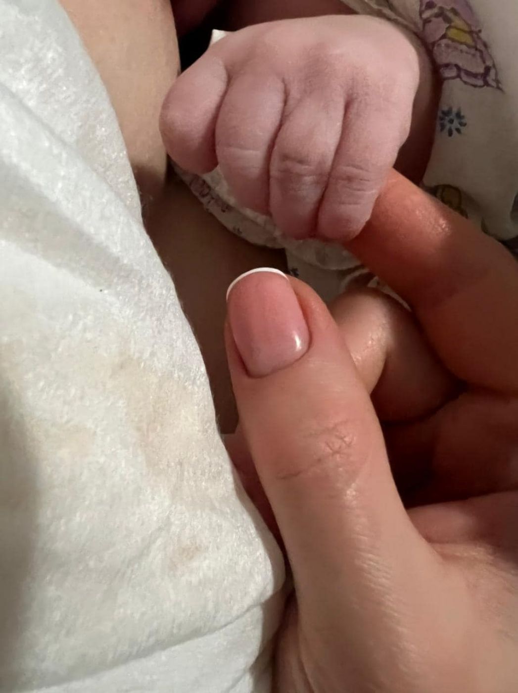 339981959_904601120833301_2219748941915935842_n