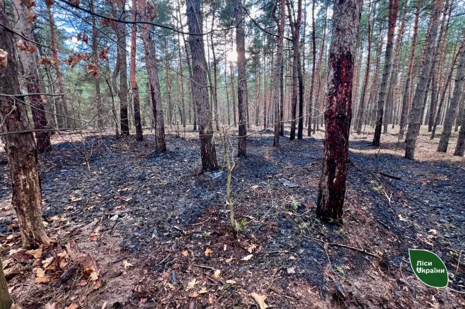 662178707_951622057834084_291418693547937118_n