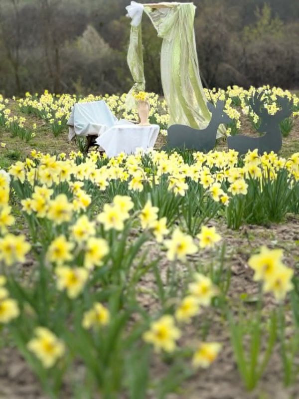 Без назви422