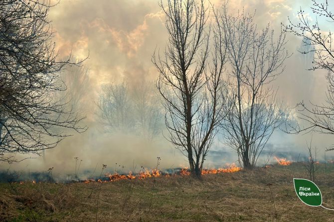 662510325_951621934500763_8360646283784454054_n