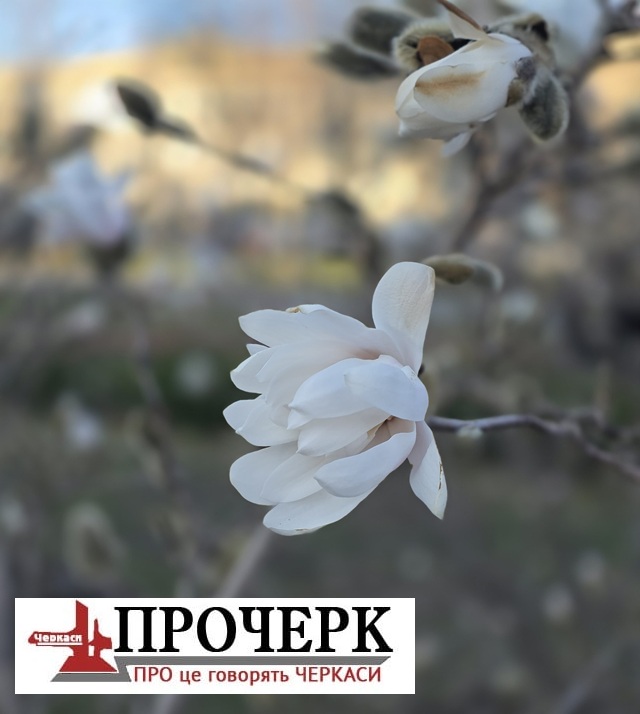 Без назви6531