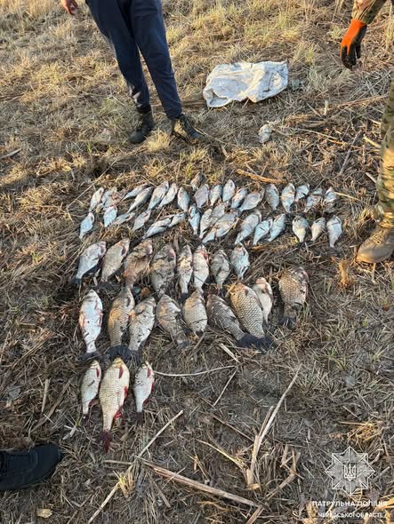 665628512_1372072131631750_5094001009390909850_n