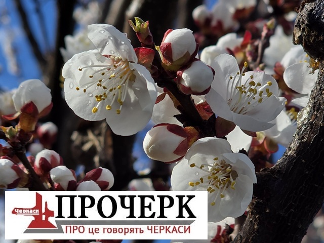 Без назви8754