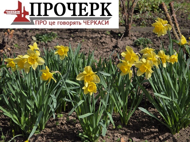 Без назви87564