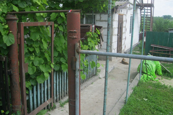 PM178image002