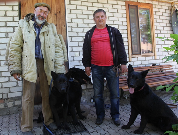 Собака2