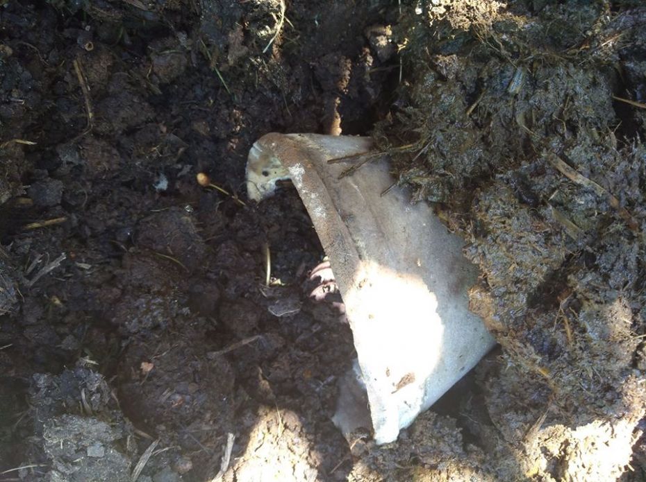 33574416_931007527104766_8293413451498258432_n