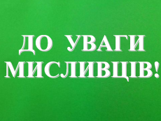 42926010_2155625578090017_887901960651407360_n-230x173