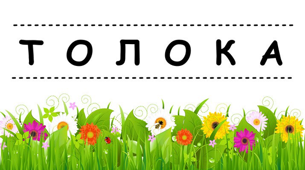 2019-05-24-toloka