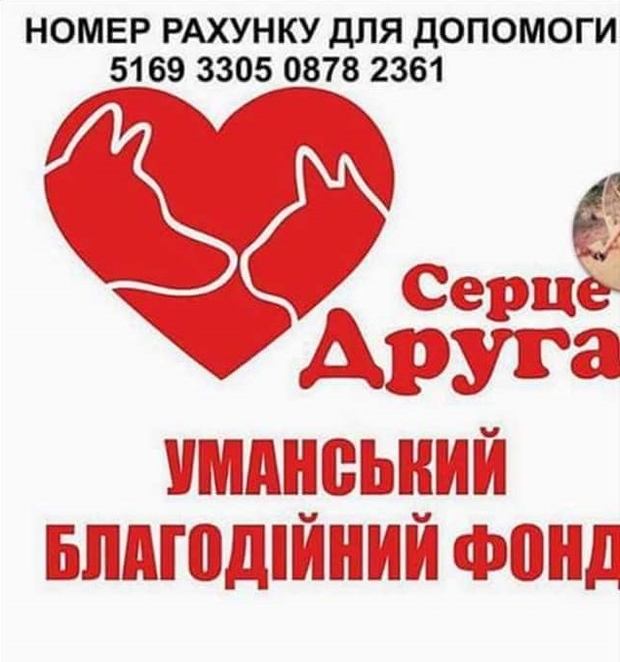 603975024298925942365991875289485730643968o