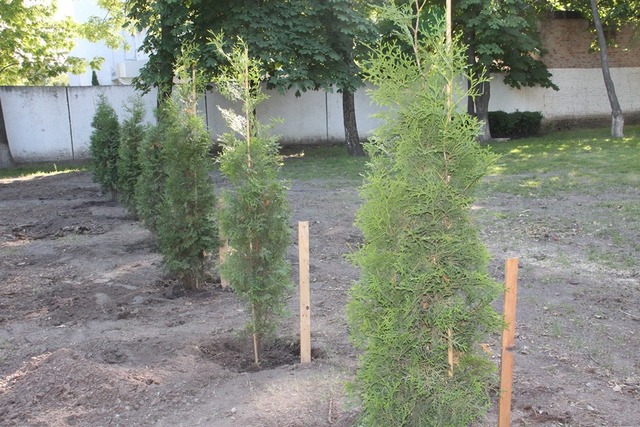 60893736_1088931177958089_7043562802832736256_n