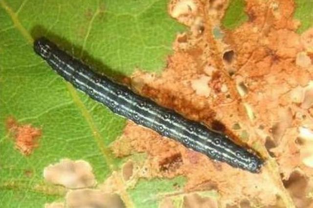 11223344556677889999999