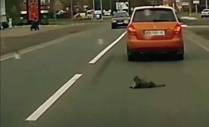 Bezymyannyj2-710x434