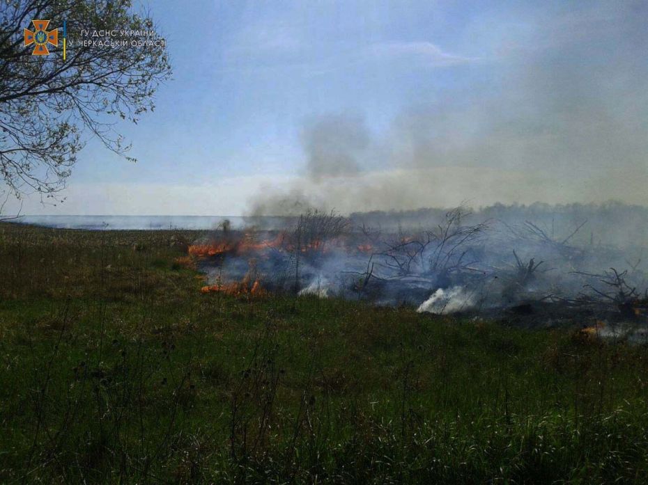 280043359_367664402064940_4542875900620154677_n