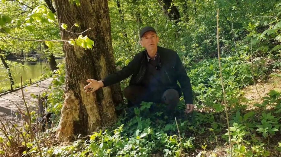 o_1g2ddsdf013rnrmpia5136514f24u